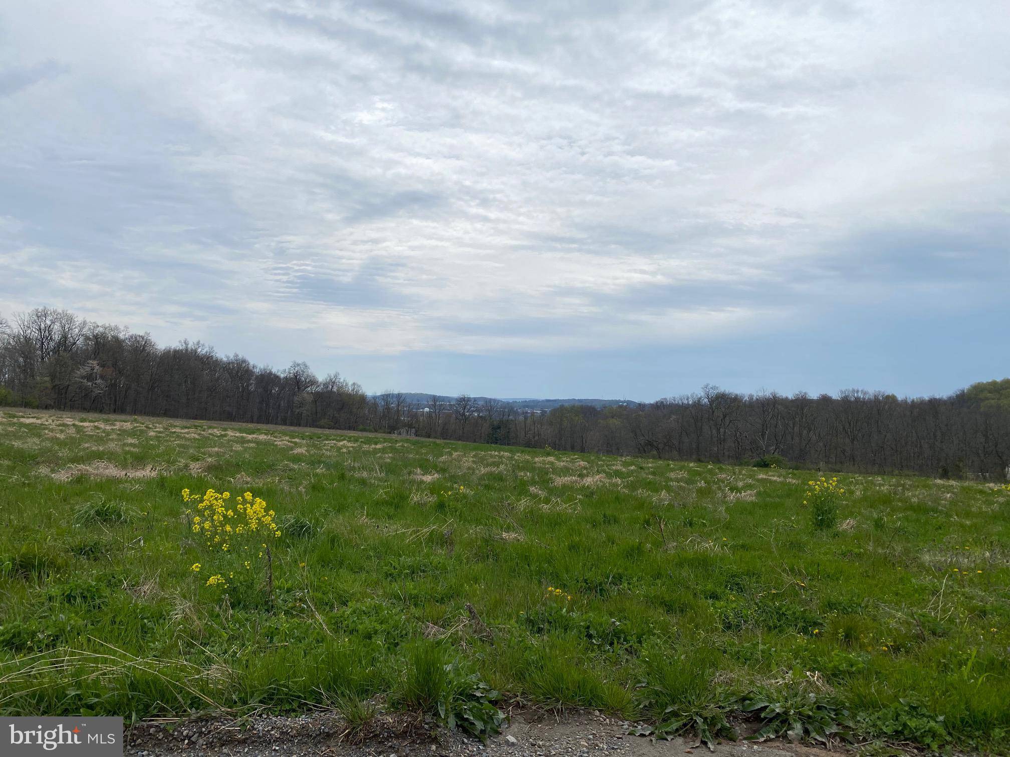 Bechtelsville, PA 19505,LOT 2 COUNTY LINE RD