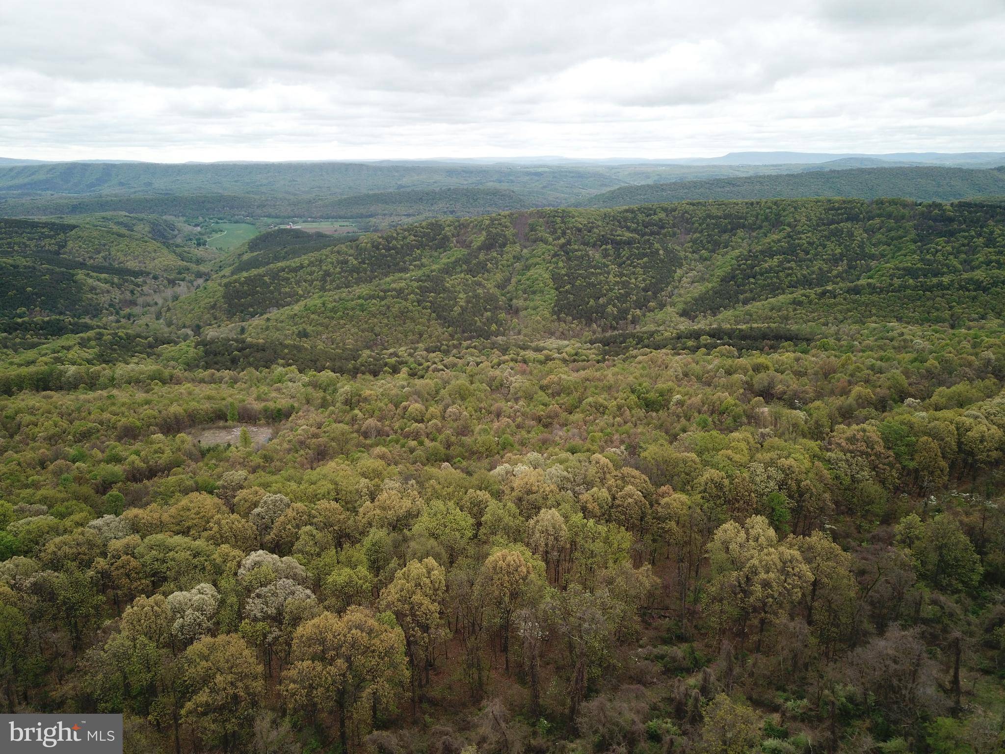 Springfield, WV 26763,LOT 93 BLUFFS BLUEBIRD TRL