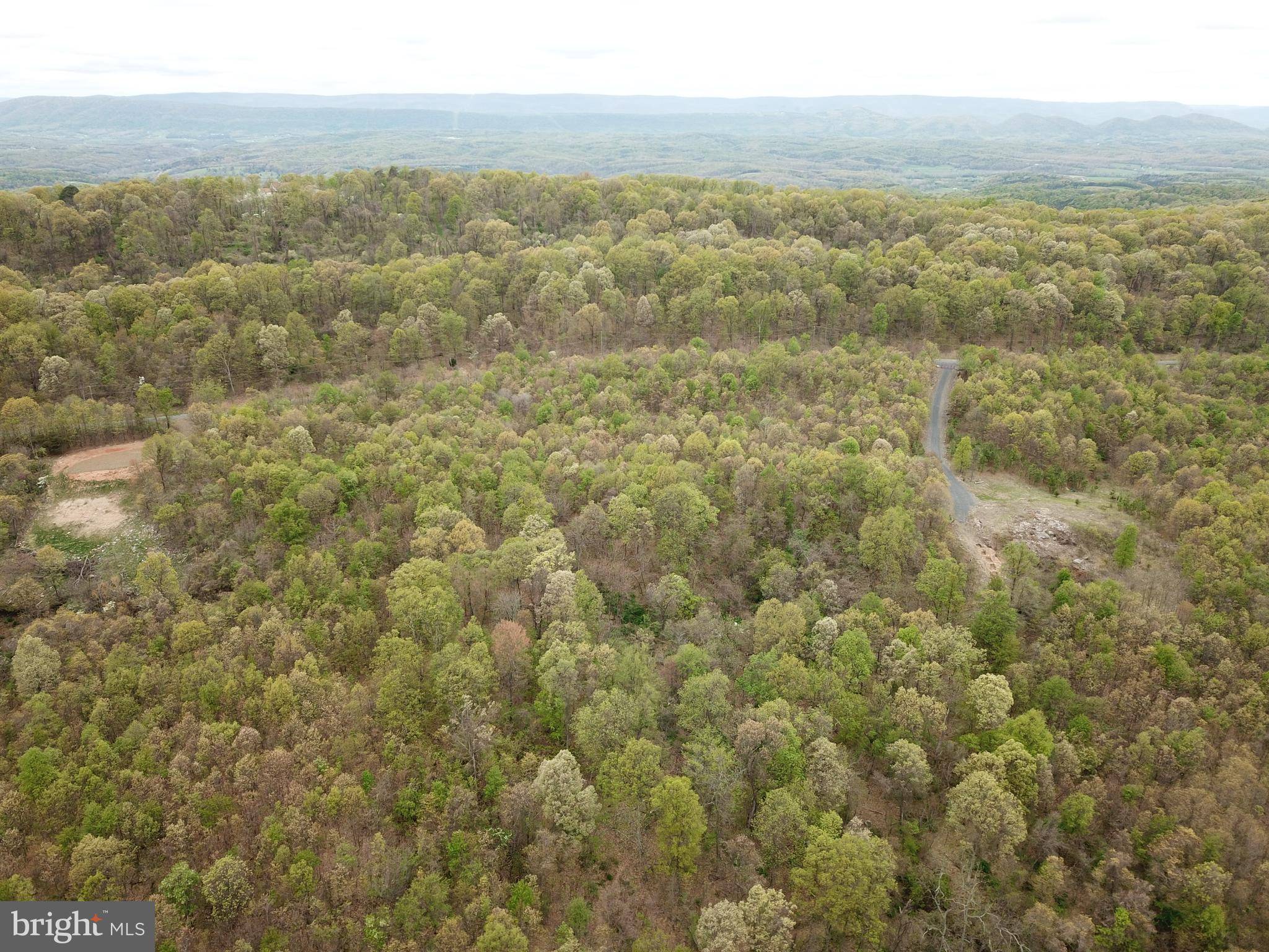 Springfield, WV 26763,LOT 93 BLUFFS BLUEBIRD TRL