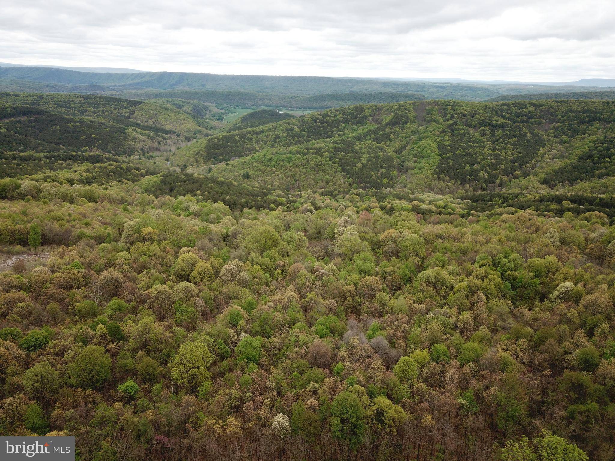 Springfield, WV 26763,LOT 93 BLUFFS BLUEBIRD TRL