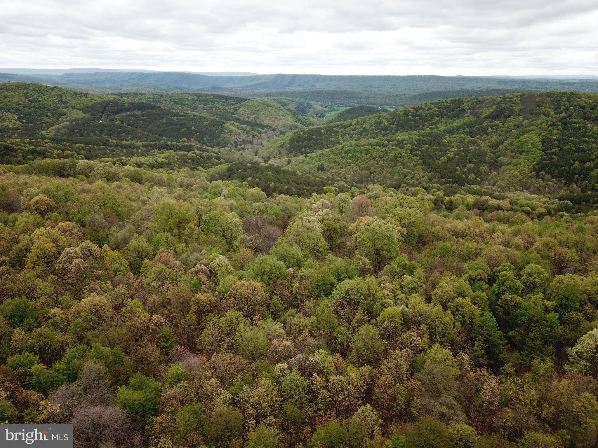 Springfield, WV 26763,LOT 93 BLUFFS BLUEBIRD TRL