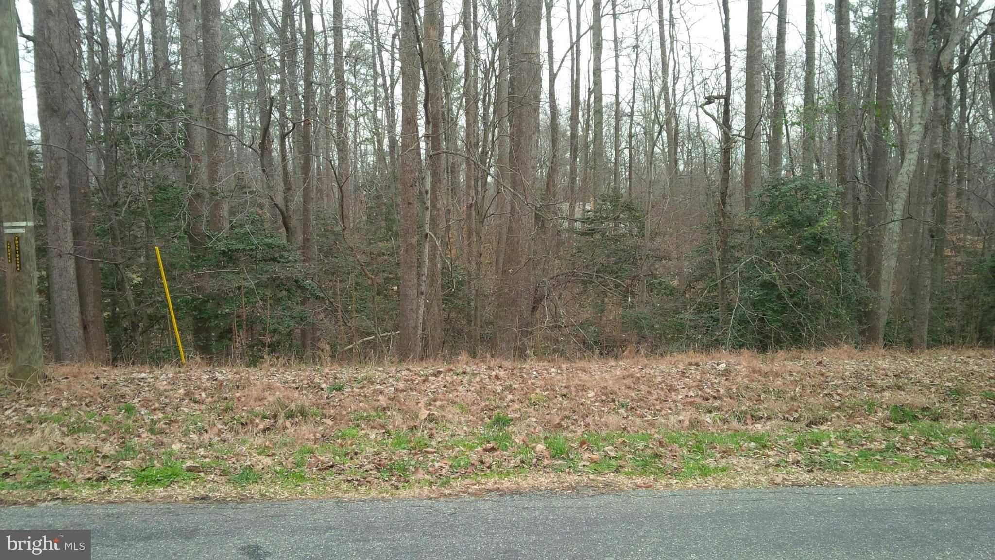 Montross, VA 22520,LOT 57 N. INDEPENDENCE DR