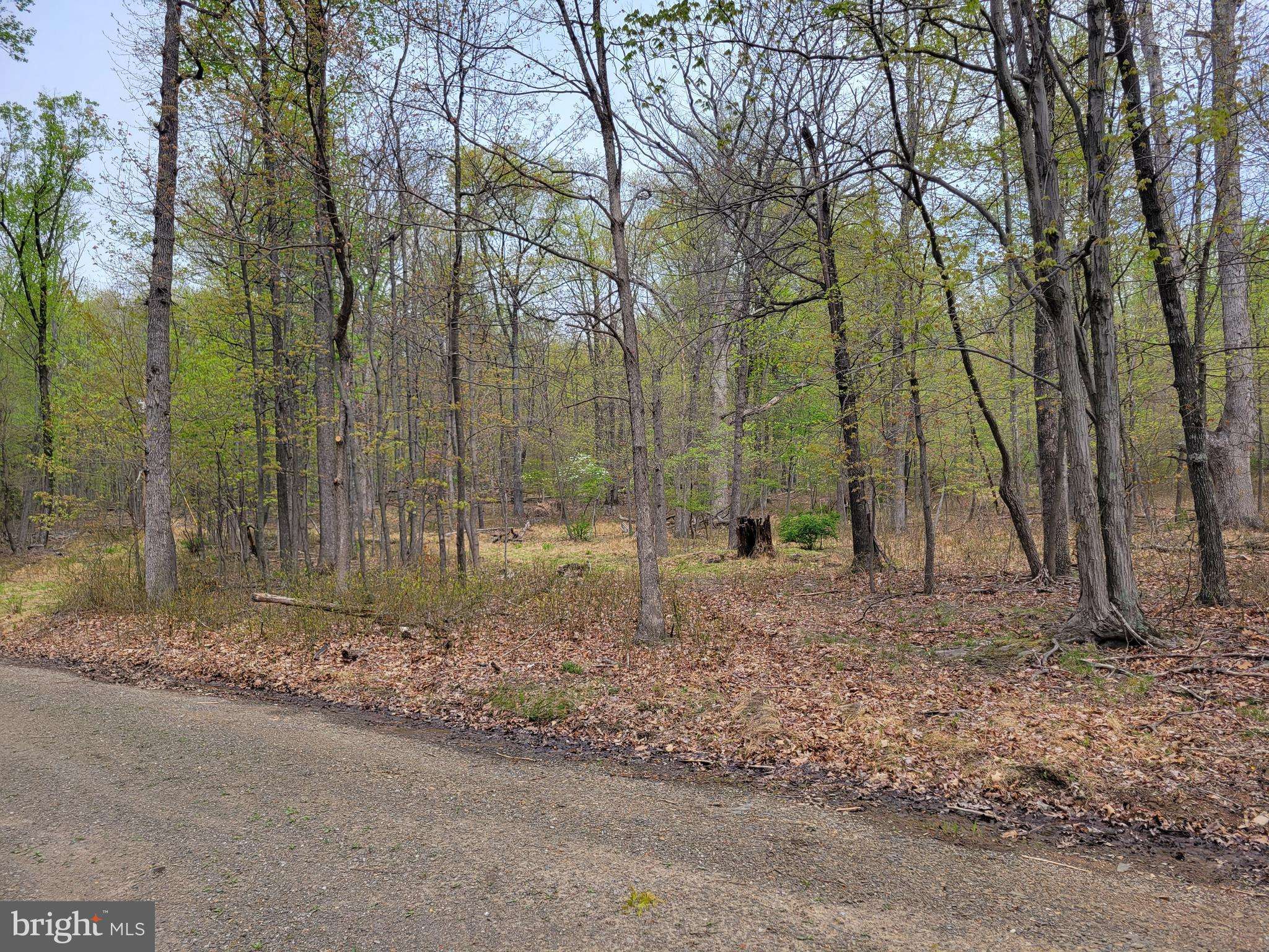 Hedgesville, WV 25427,416 ROCKY TRAIL LOT 12