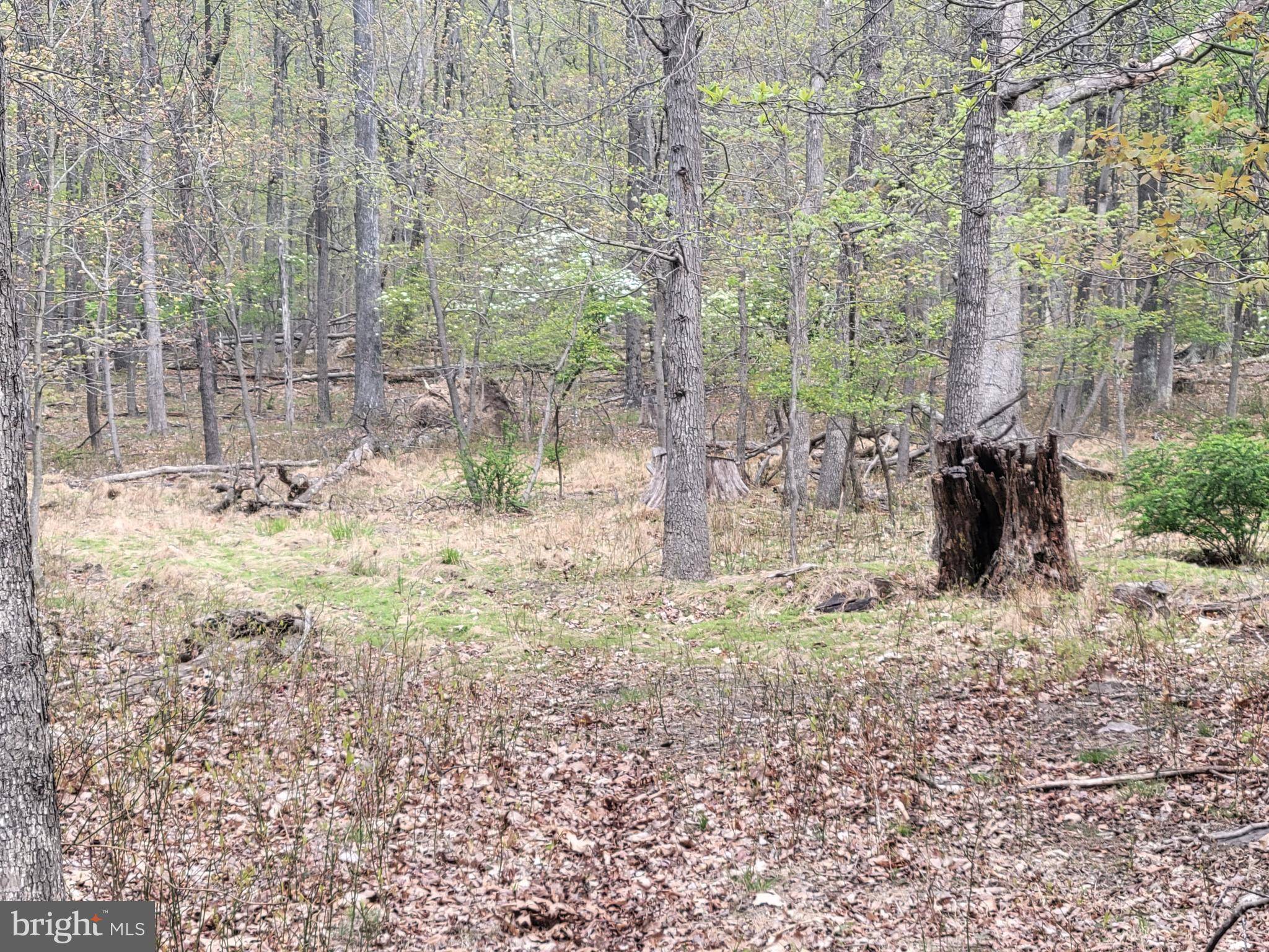 Hedgesville, WV 25427,416 ROCKY TRAIL LOT 12