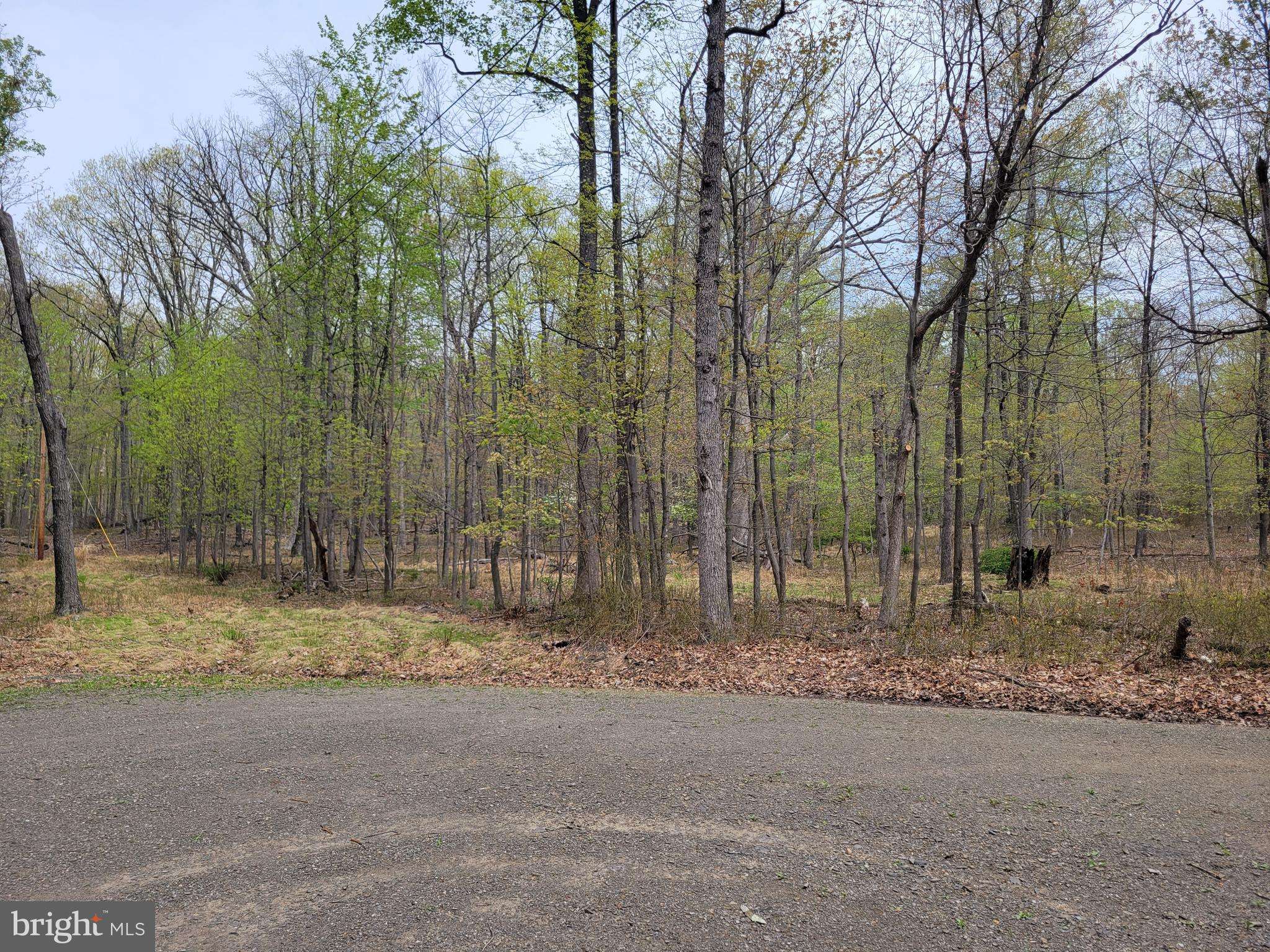 Hedgesville, WV 25427,416 ROCKY TRAIL LOT 12