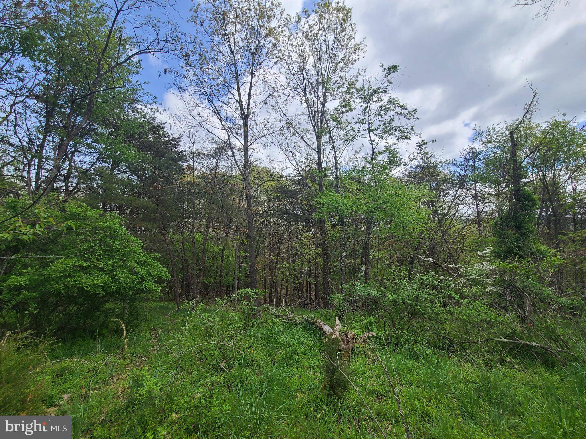 Berkeley Springs, WV 25411,LONGVIEW DRIVE - LOT 25