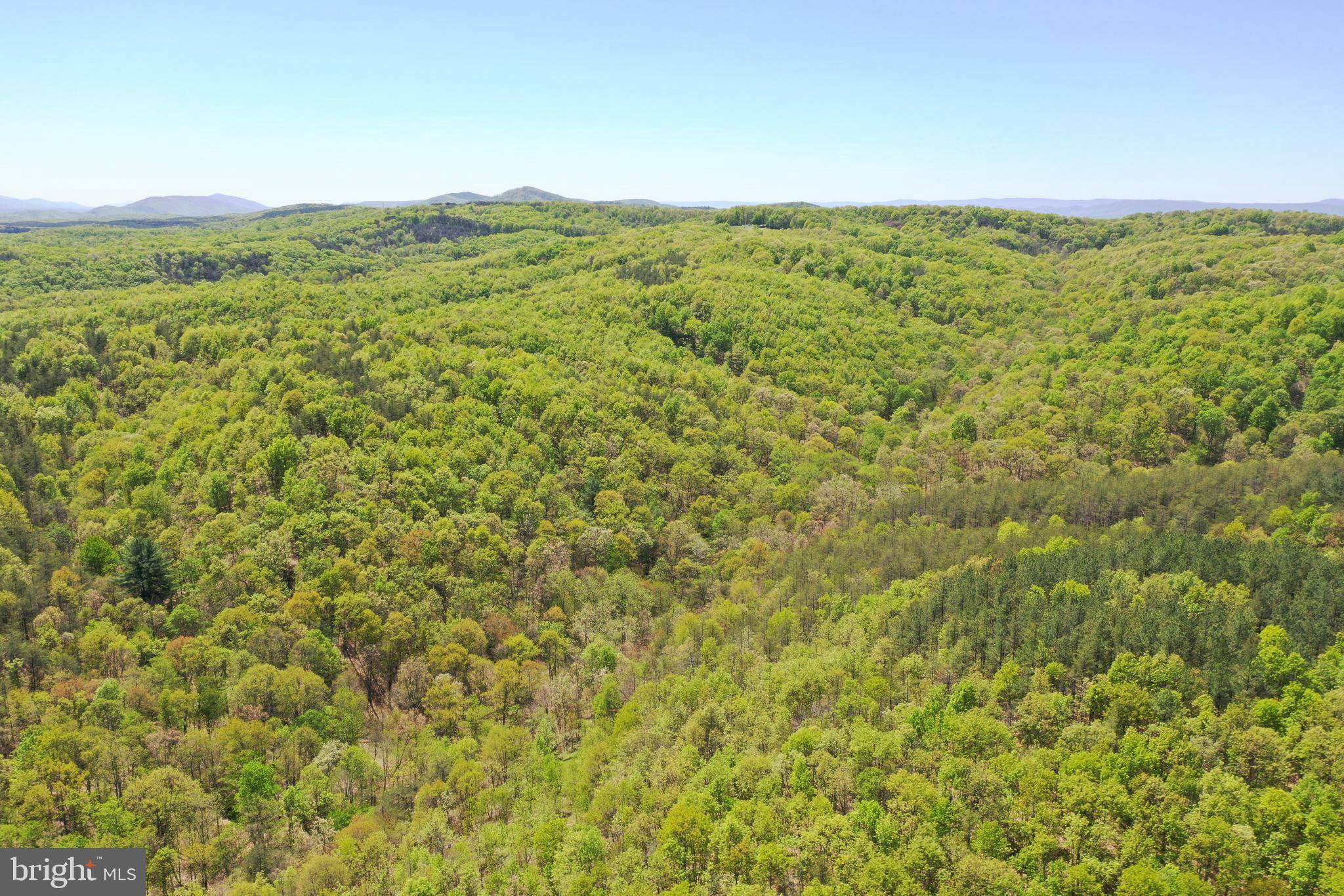 Springfield, WV 26763,LOT 12 PINE HOLLOW DR