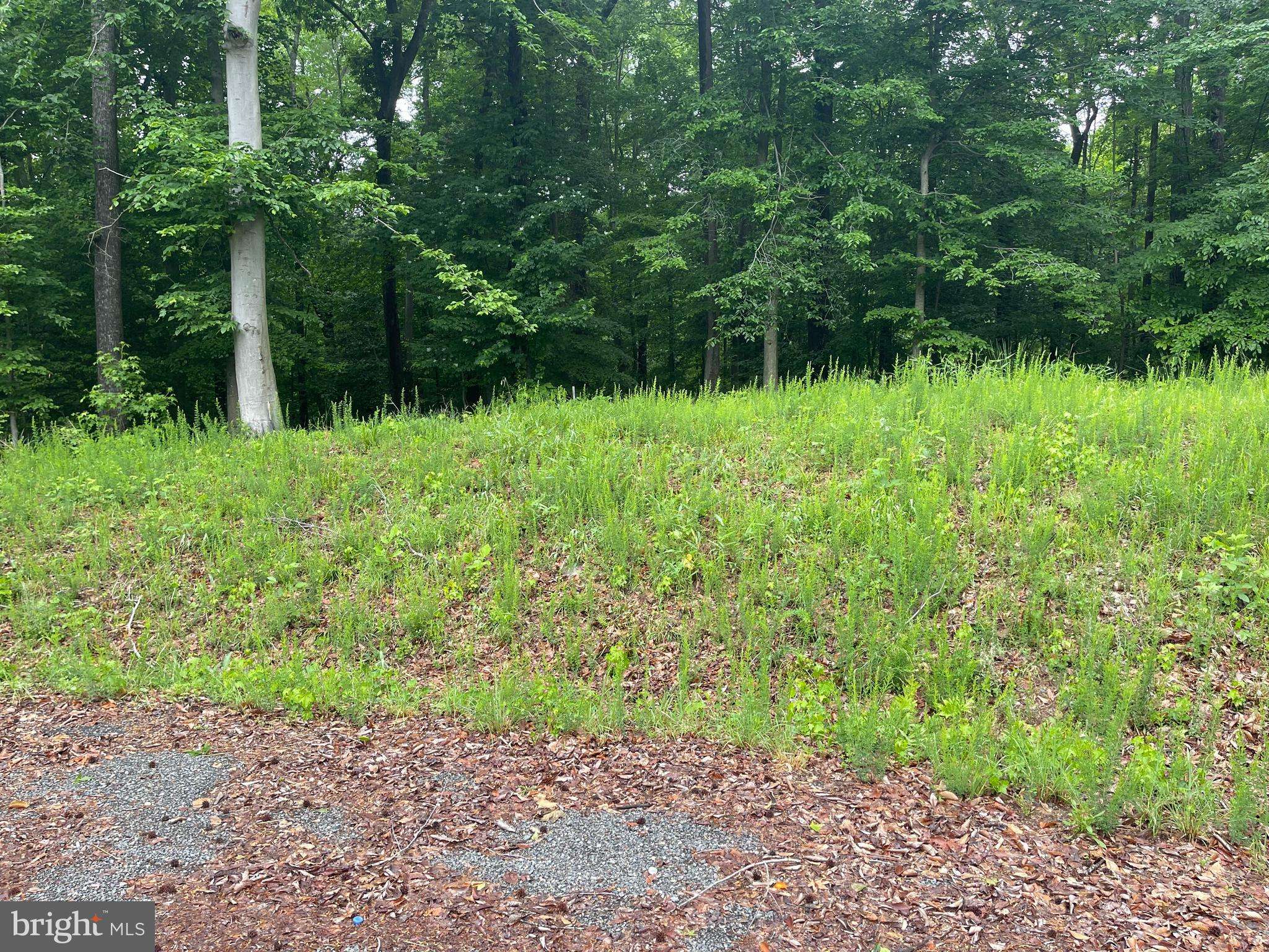 King George, VA 22485,LOT 25 COMPASS CT