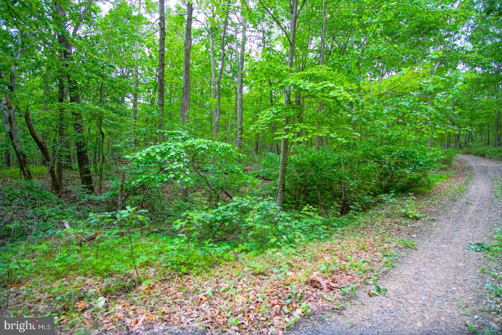 Luray, VA 22835,LOT K6 WHITE OAK RD