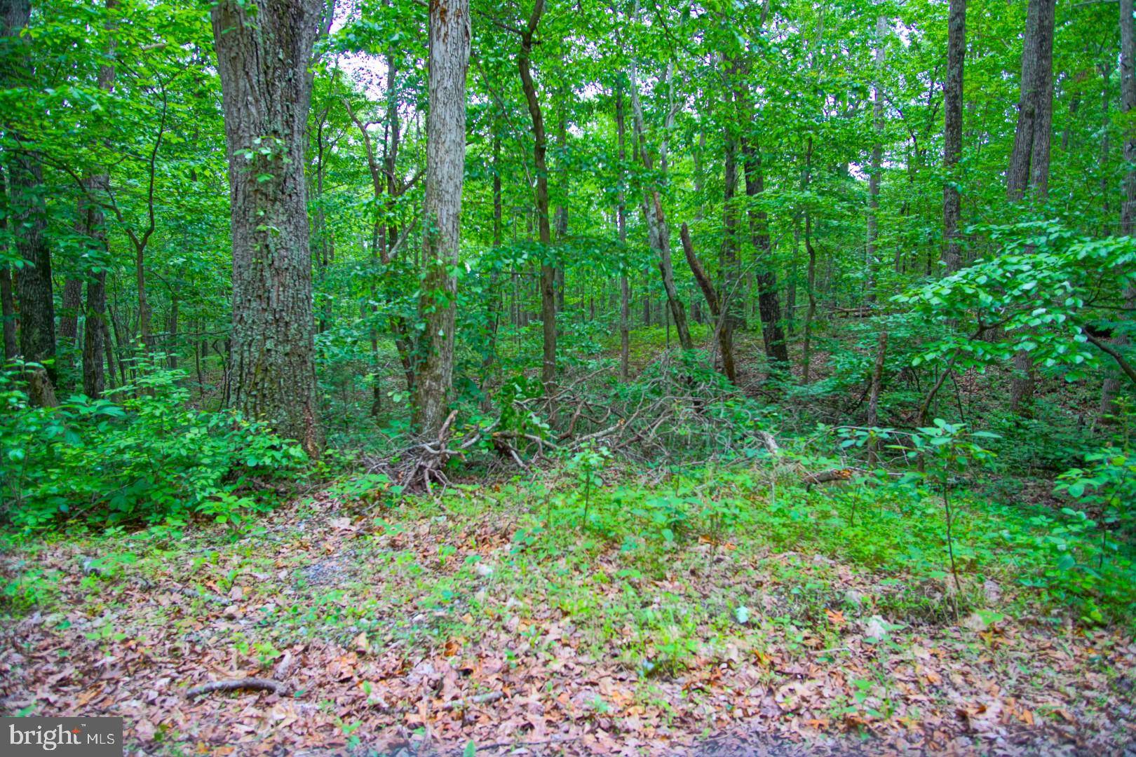 Luray, VA 22835,LOT K6 WHITE OAK RD