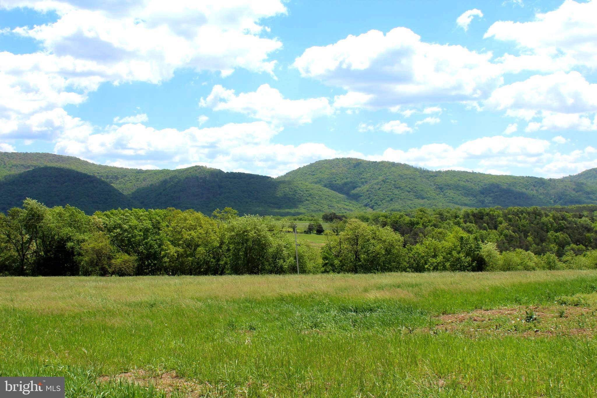 Petersburg, WV 26847,8+/- ACRES MORGANTOWN RD