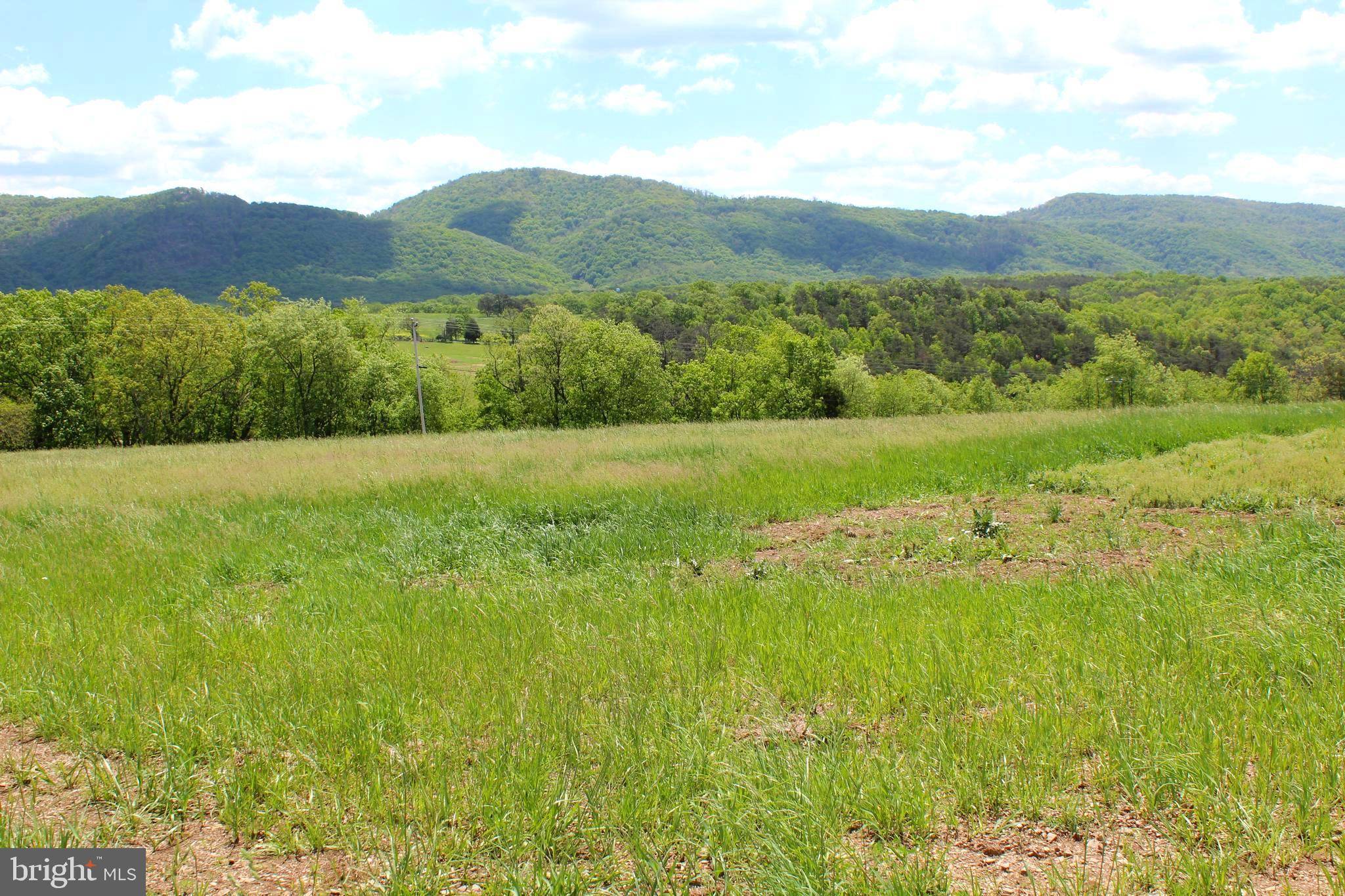 Petersburg, WV 26847,8+/- ACRES MORGANTOWN RD