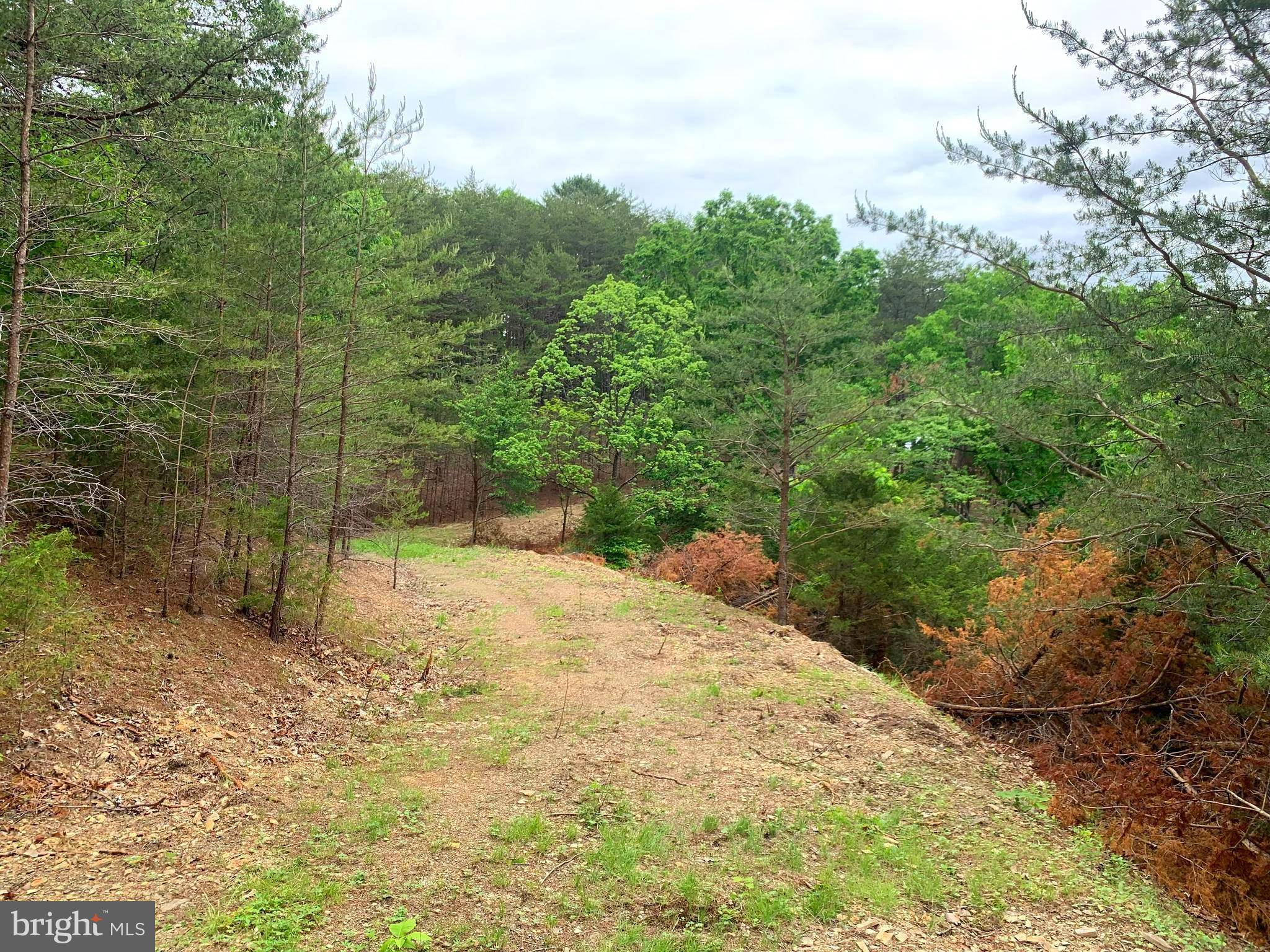 Old Fields, WV 26845,PURGITSVILLE PIKE