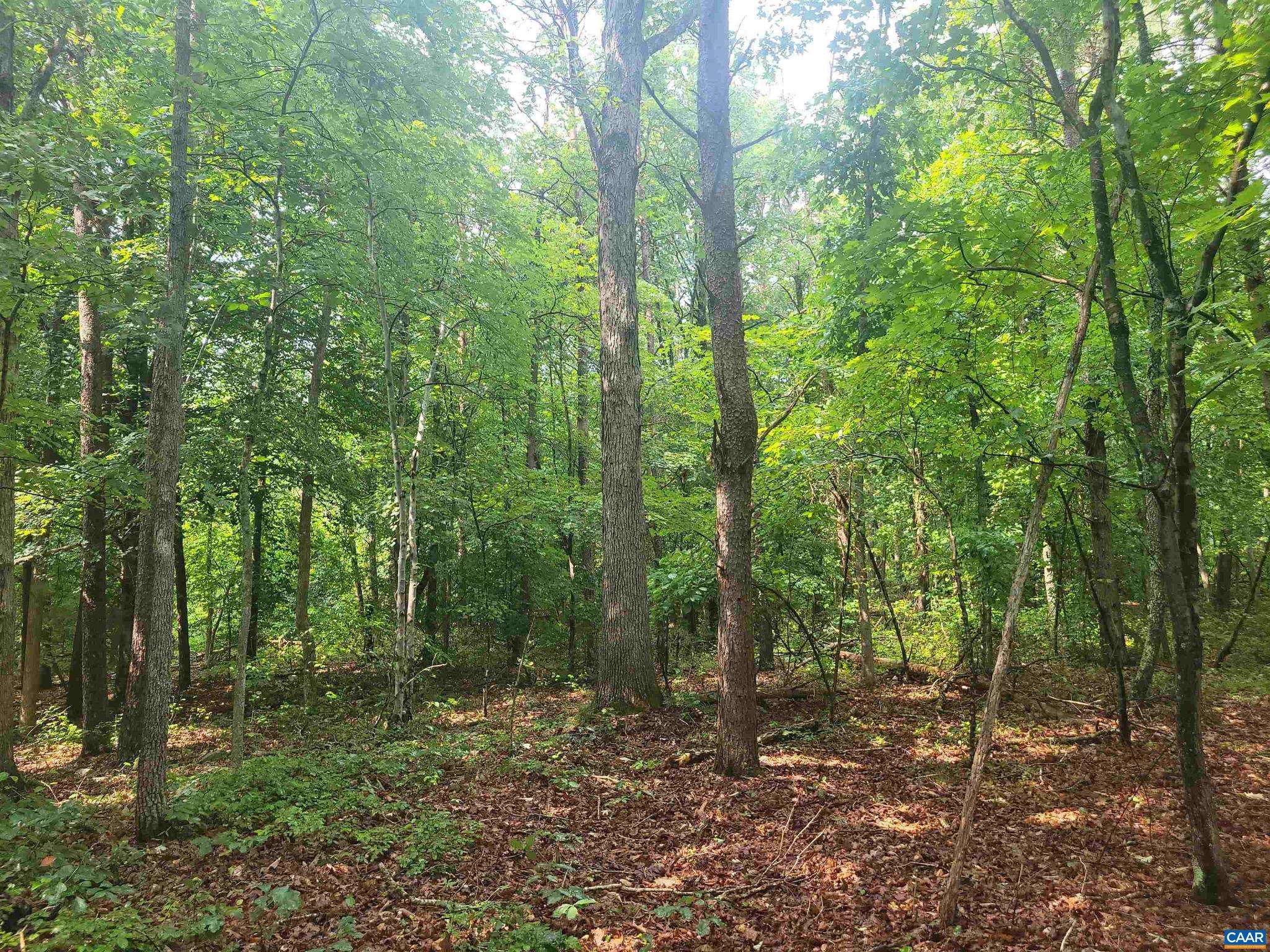 Shipman, VA 22971,LOT 1 PINEY MTN GLADE RD #24 AC