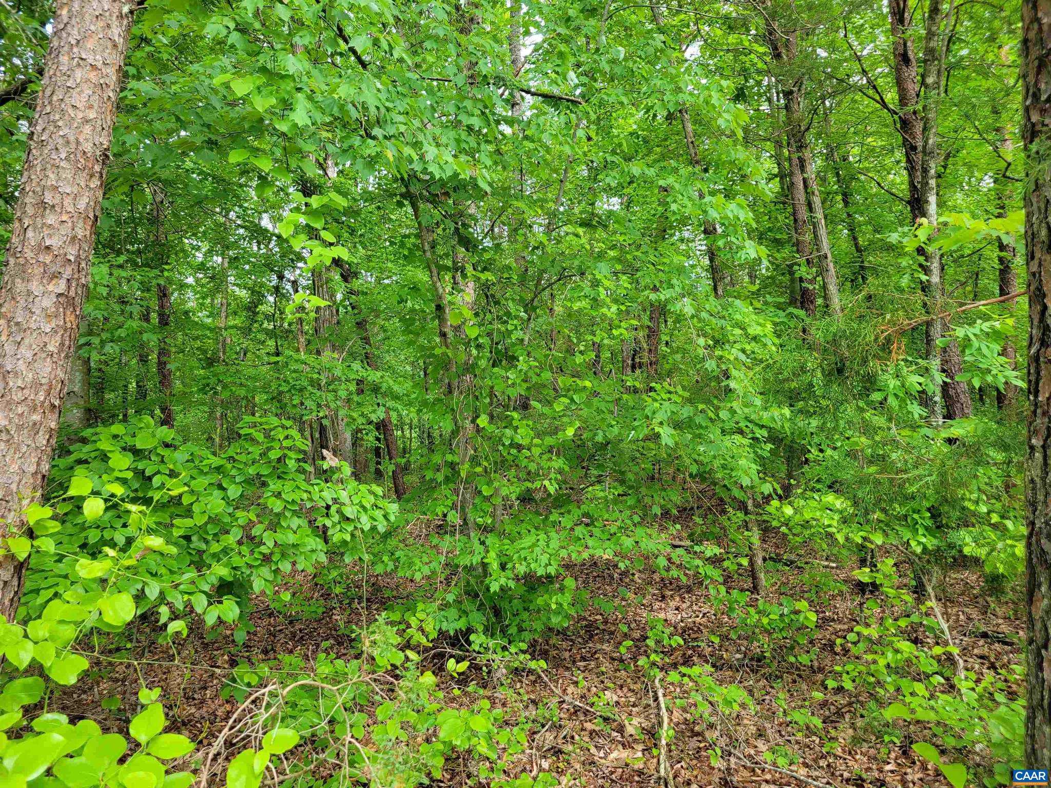 Shipman, VA 22971,LOT 1 PINEY MTN GLADE RD #24 AC