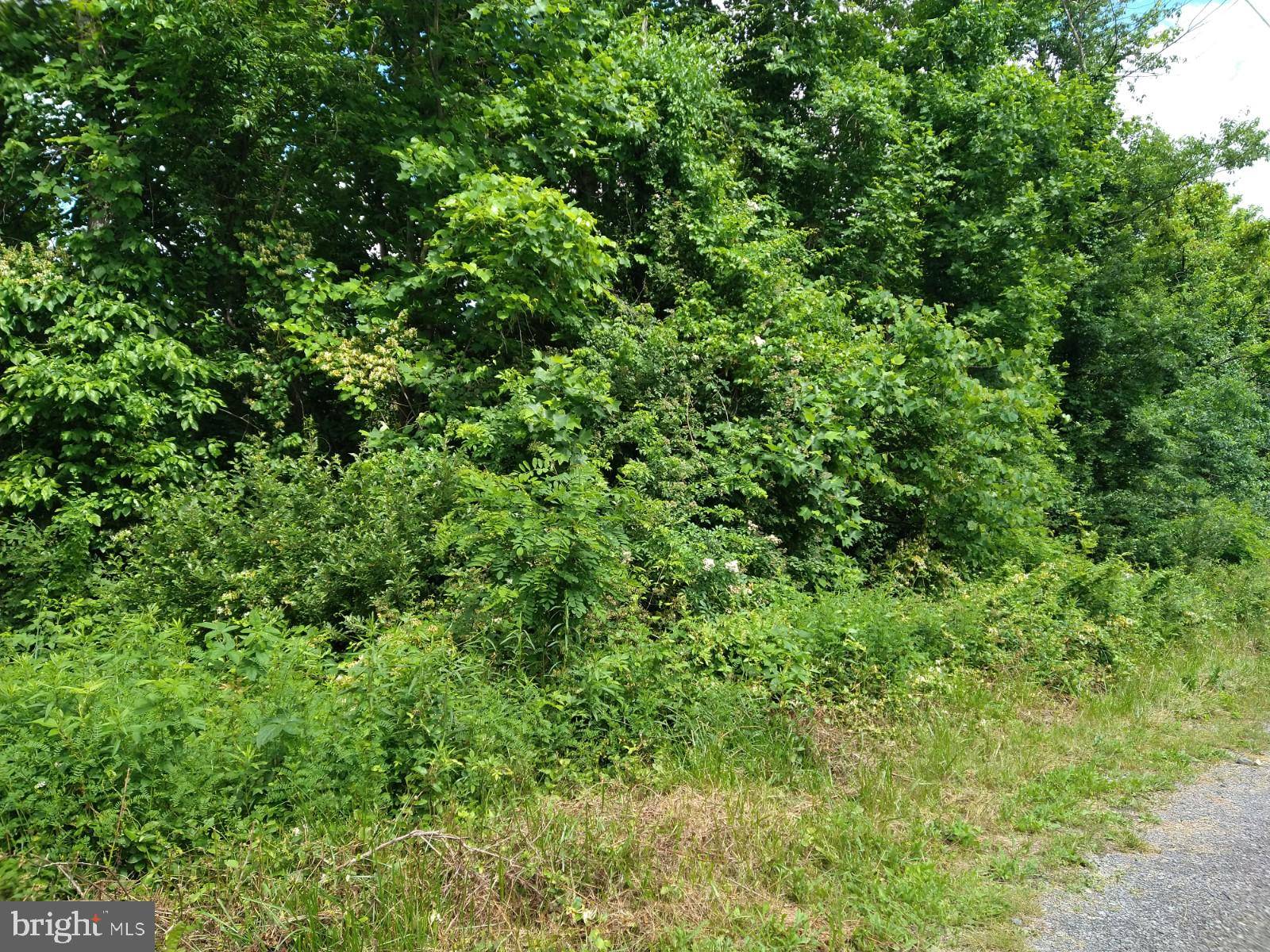 Newport, PA 17074,LOT 3 OLD LIMEKILN LN