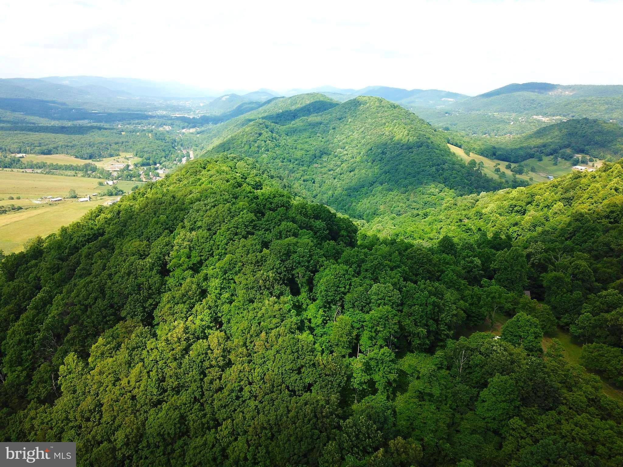 New Creek, WV 26743,BUCKTAIL LANE