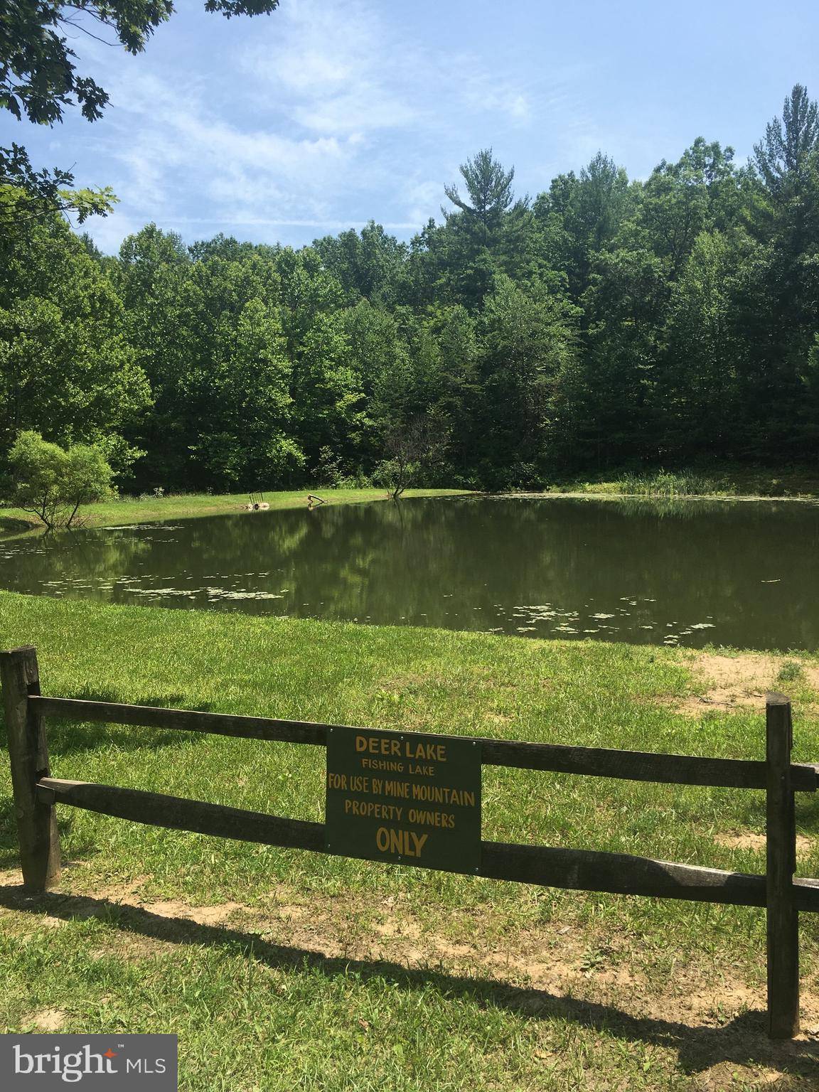 Fort Valley, VA 22652,LOT 163 FOREST RIDGE TRAIL