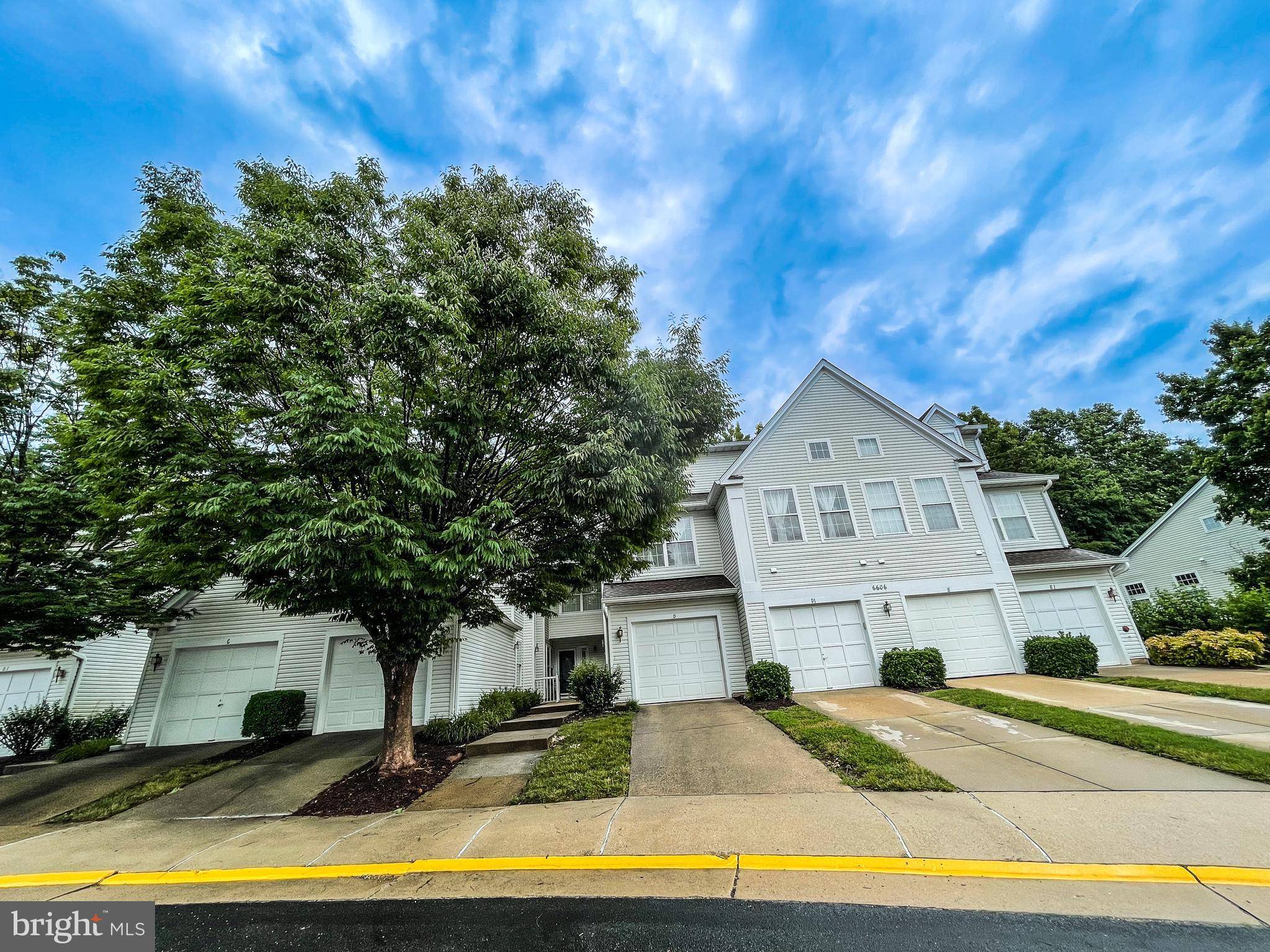 Alexandria, VA 22315,6606 NETTIES LN #1305