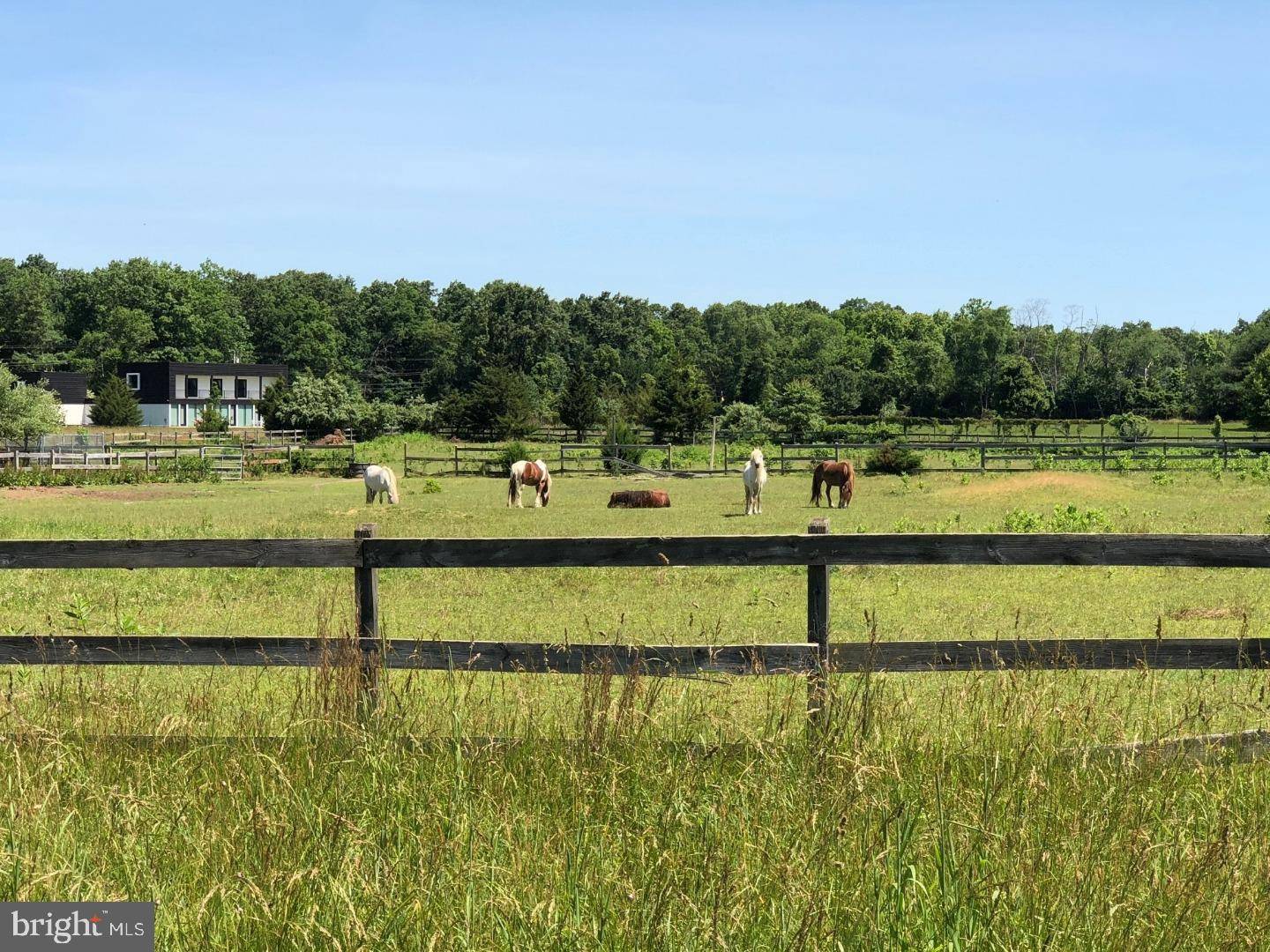 Shamong, NJ 08088,216 FORKED NECK RD