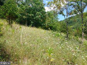 Old Fields, WV 26845,LOT 48 HIGHLAND SPRINGS RD.,