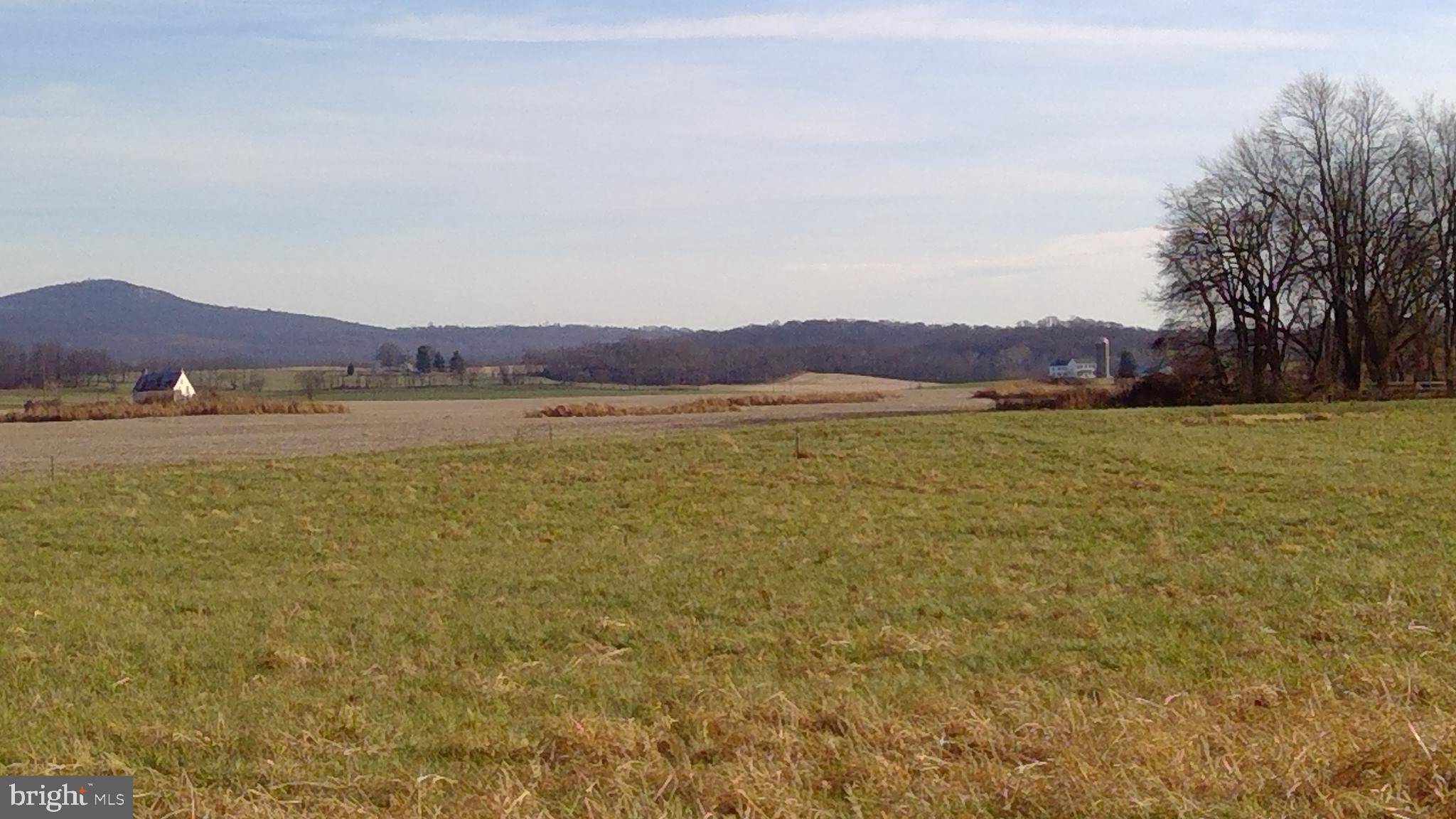 Adamstown, MD 21710,LOT 204 REMAINDER FENCE ROW LN.