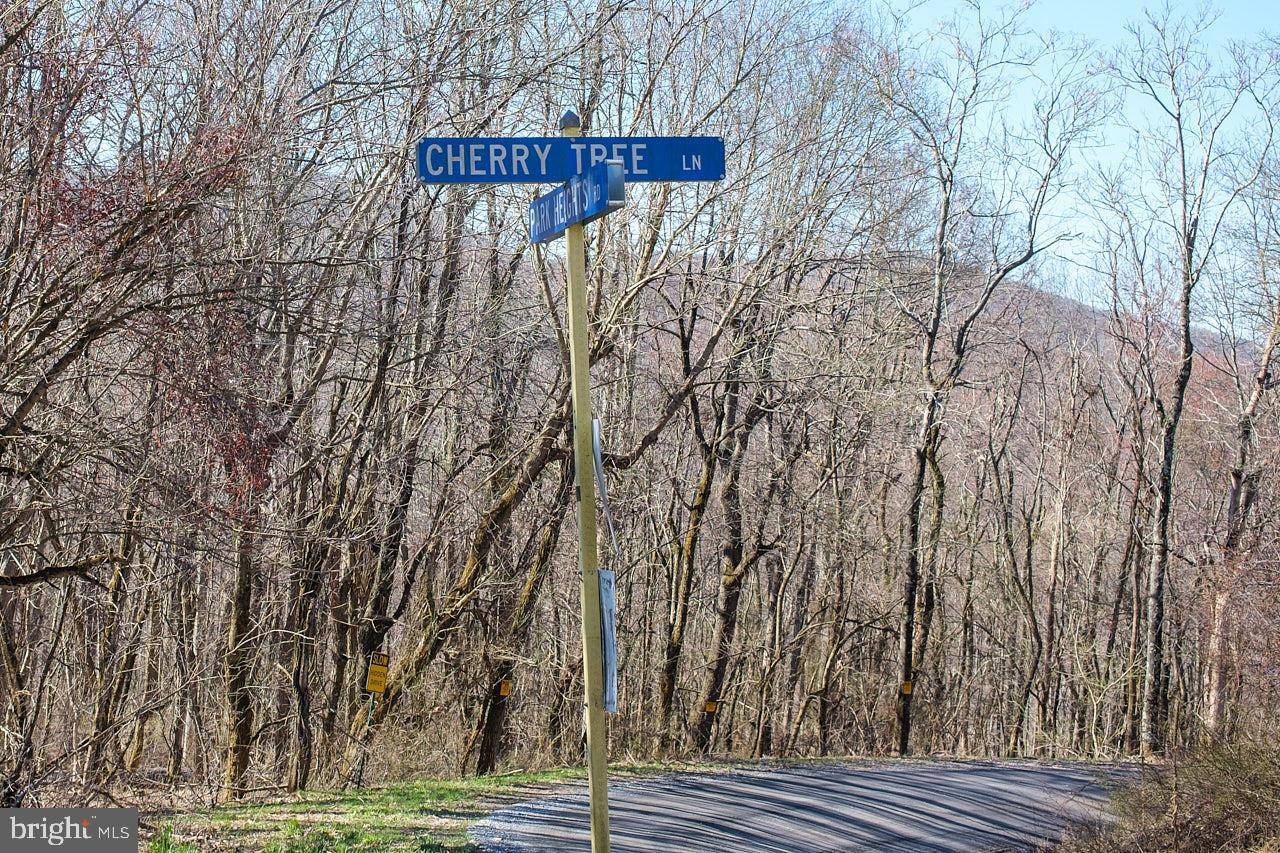 Stanley, VA 22851,0 CHERRY TREE LANE