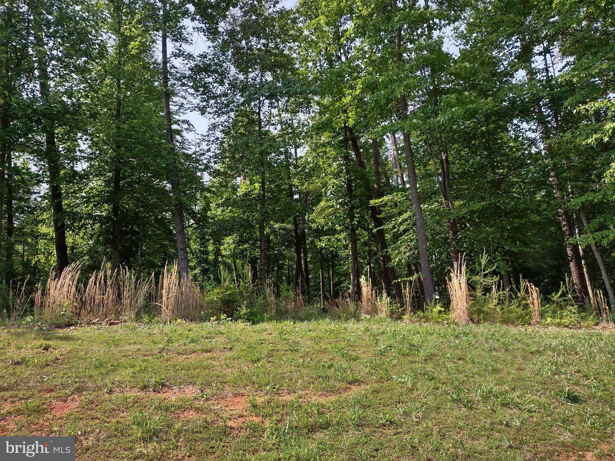 Mineral, VA 23117,LOT 45 SUNSET LOOP