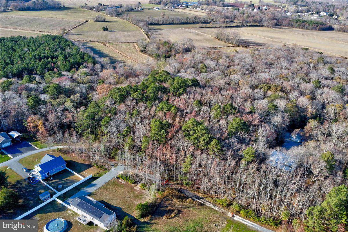 Selbyville, DE 19975,LOT 9 MURPHY CIR