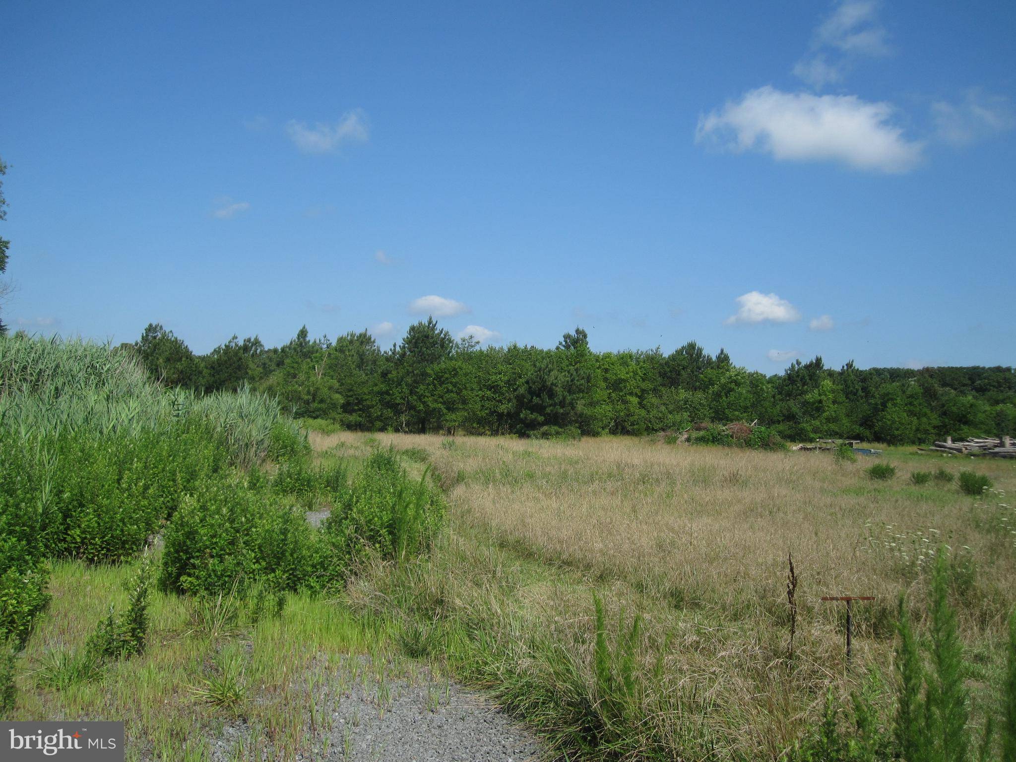 Ellendale, DE 19968,LOT 2 ISSAC'S ROAD