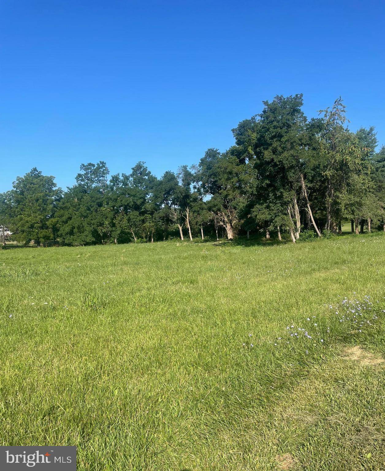 Maurertown, VA 22644,LOT 2 BERGEN DR