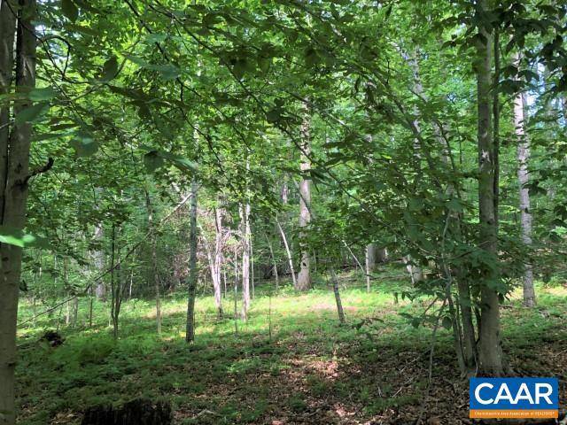 Barboursville, VA 22923,LOT 38A FOXWOOD DR #38A