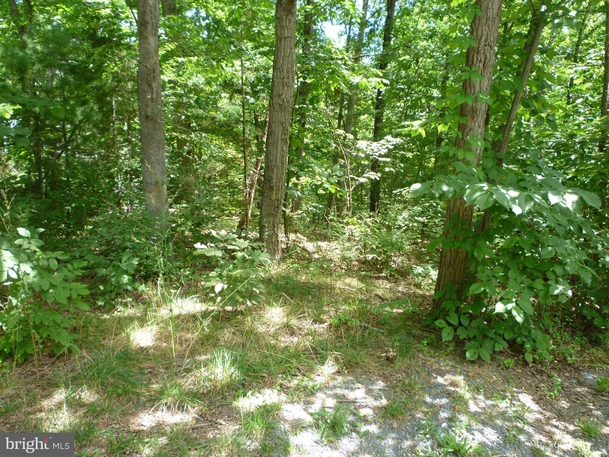 Mount Jackson, VA 22842,LOT 8 - SECT. 10 SUPINLICK RIDGE