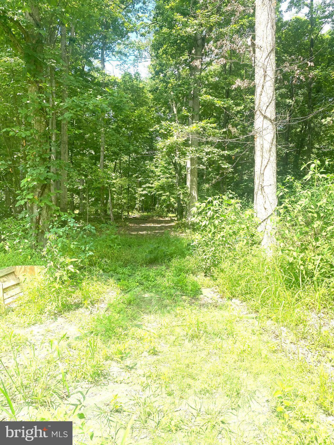 Pipersville, PA 18947,LOT SCOTT RD