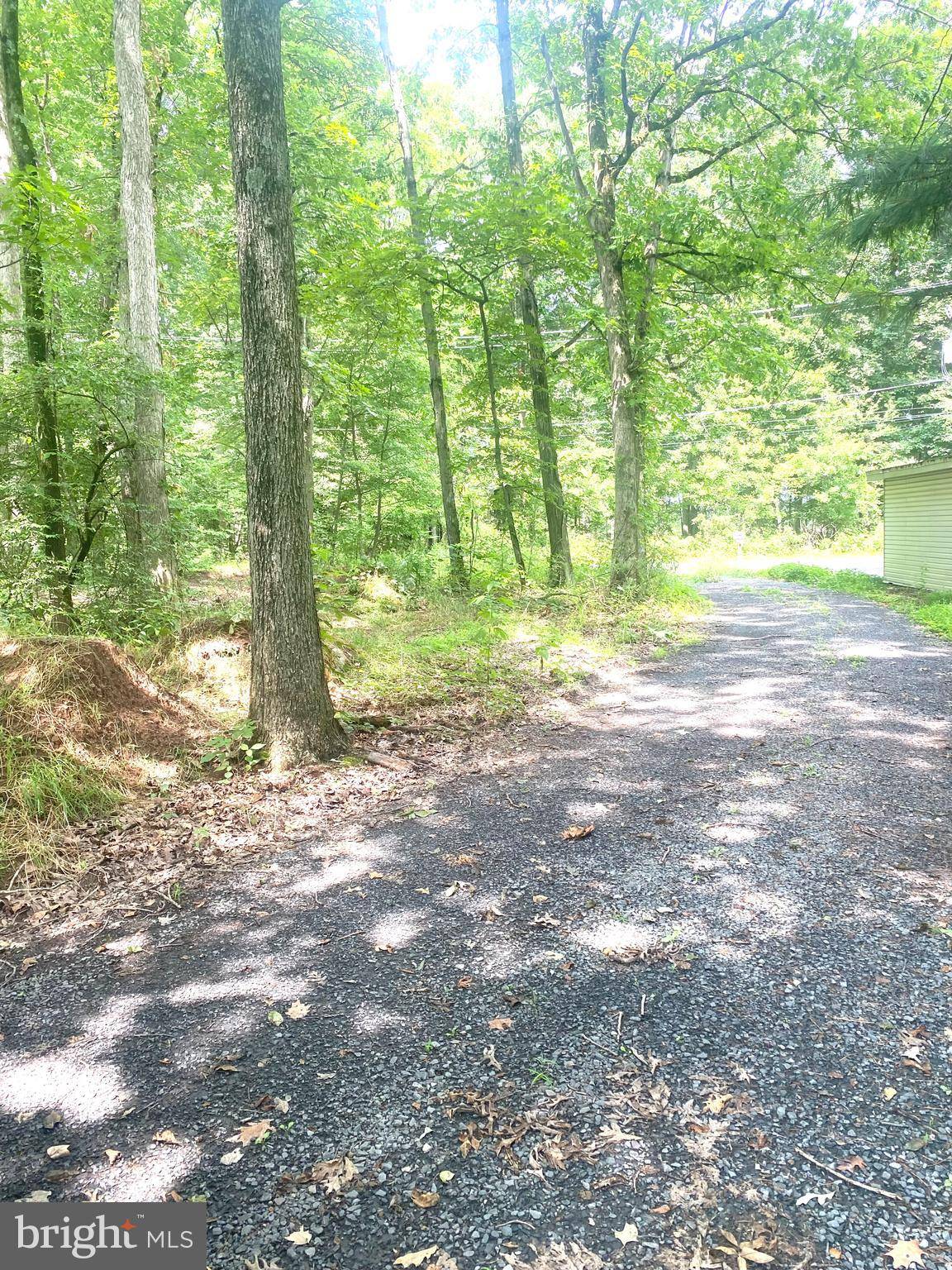 Pipersville, PA 18947,LOT SCOTT RD