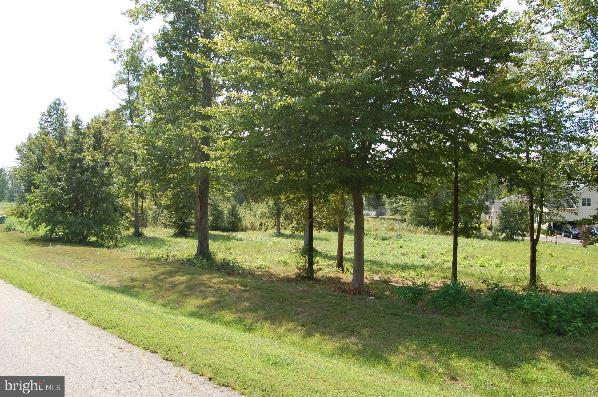 Bumpass, VA 23024,LOT 31 ARK AVE
