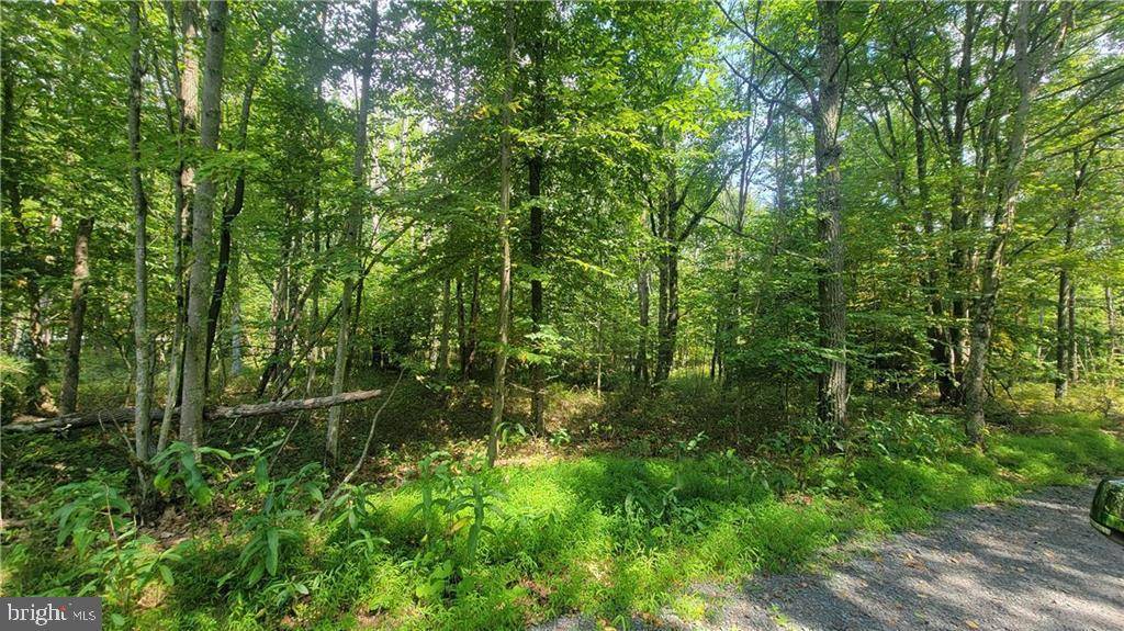 Lehighton, PA 18235,4001 FOREST ST #LOT 9