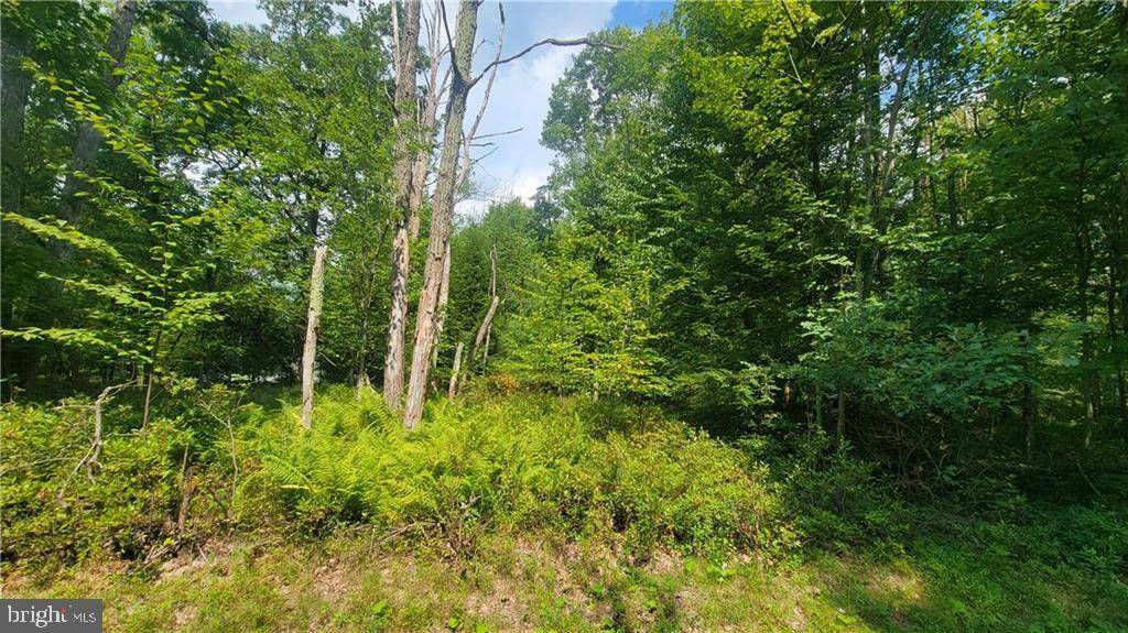 Lehighton, PA 18235,4001 FOREST ST #LOT 9