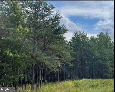 Colonial Beach, VA 22443,LOT 13 POPLAR LN