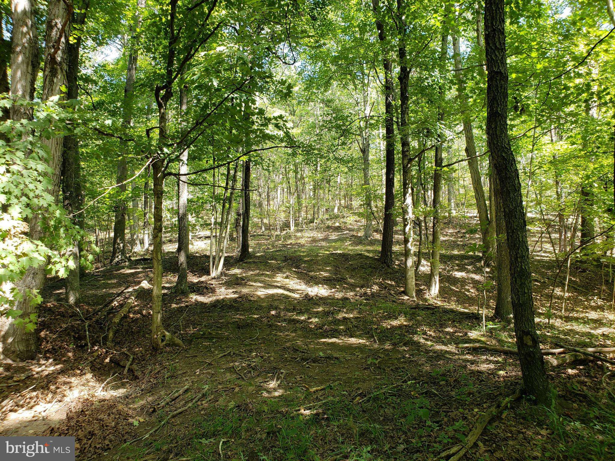 Springfield, WV 26763,LOT 36 LAKE FERNDALE DR.