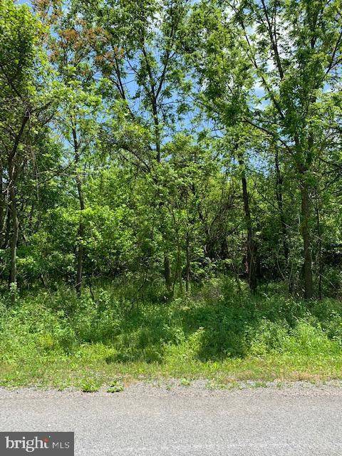 Mercersburg, PA 17236,LOT 27 APPLE JACK COURT