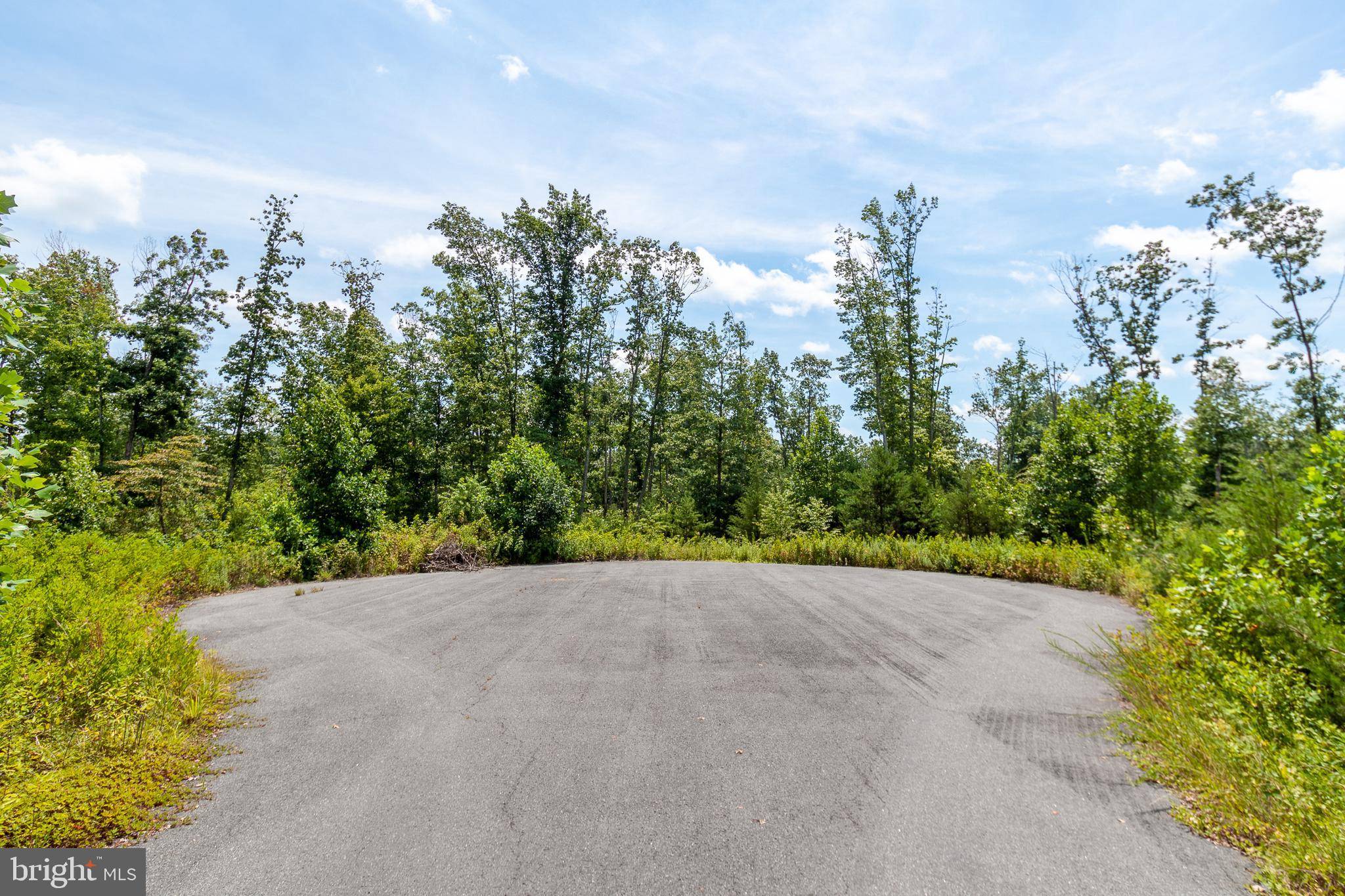 Unionville, VA 22567,LOT 12 WHARTONS PASS