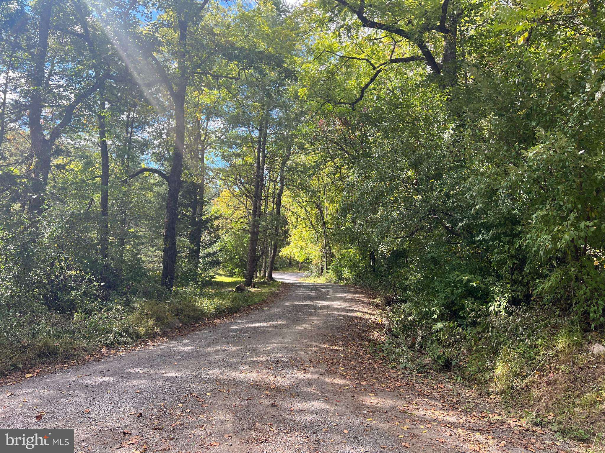 Fort Valley, VA 22652,0 MINE MOUNTAIN LANE