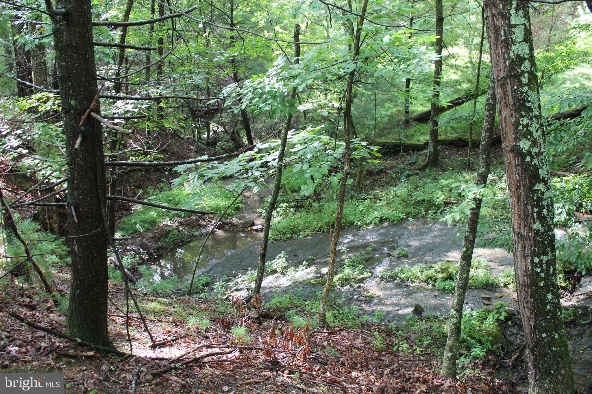 Upper Tract, WV 26866,13.16 ACRES WATERLINE DR