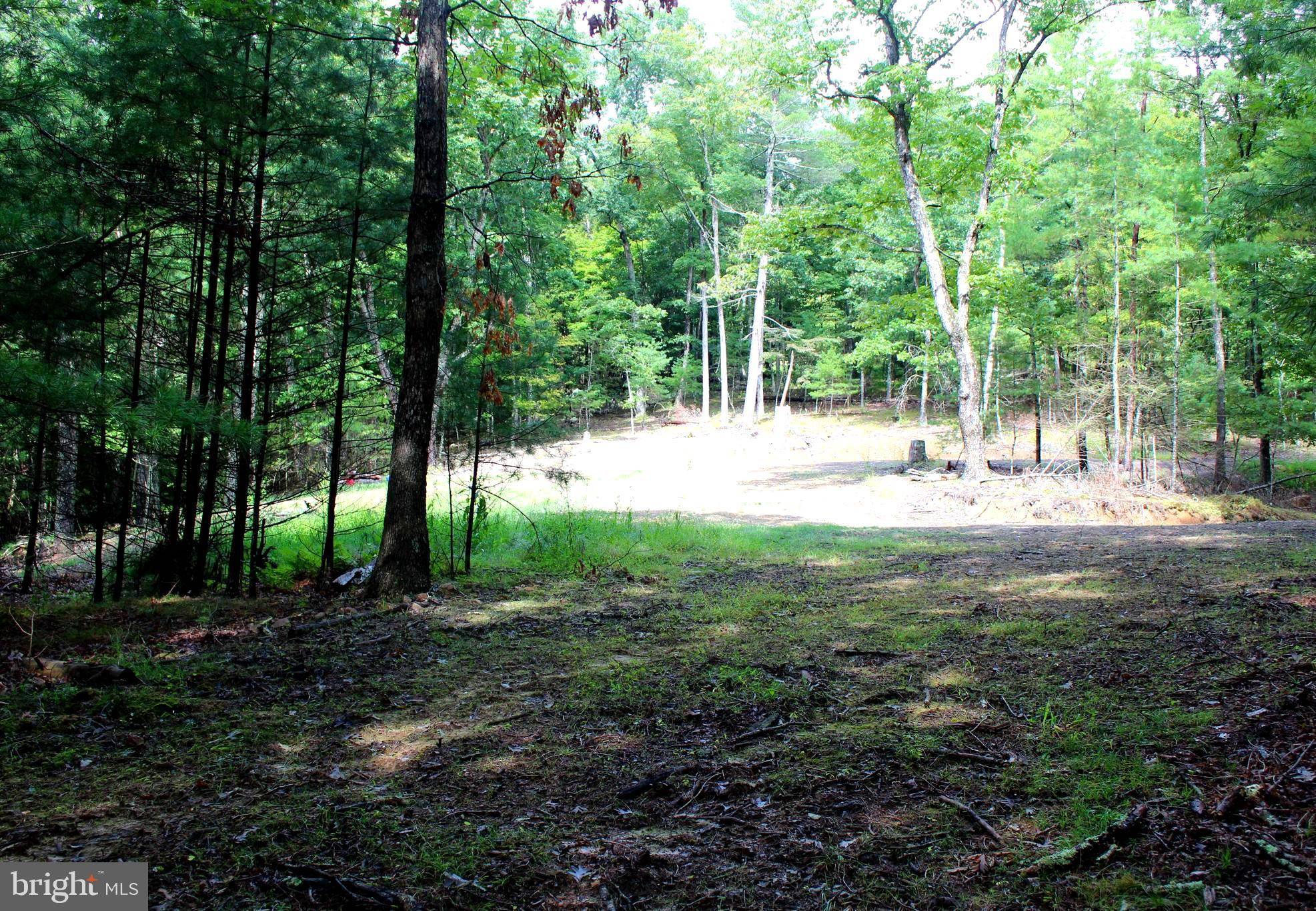 Upper Tract, WV 26866,13.16 ACRES WATERLINE DR