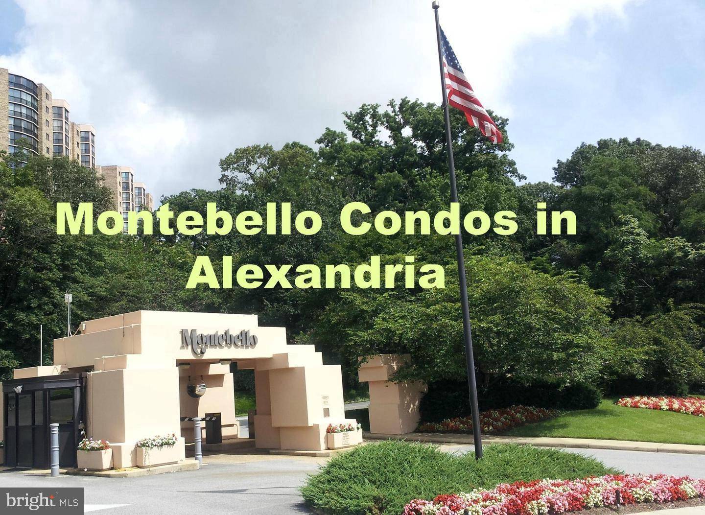 Alexandria, VA 22303,5901 MOUNT EAGLE DR #211