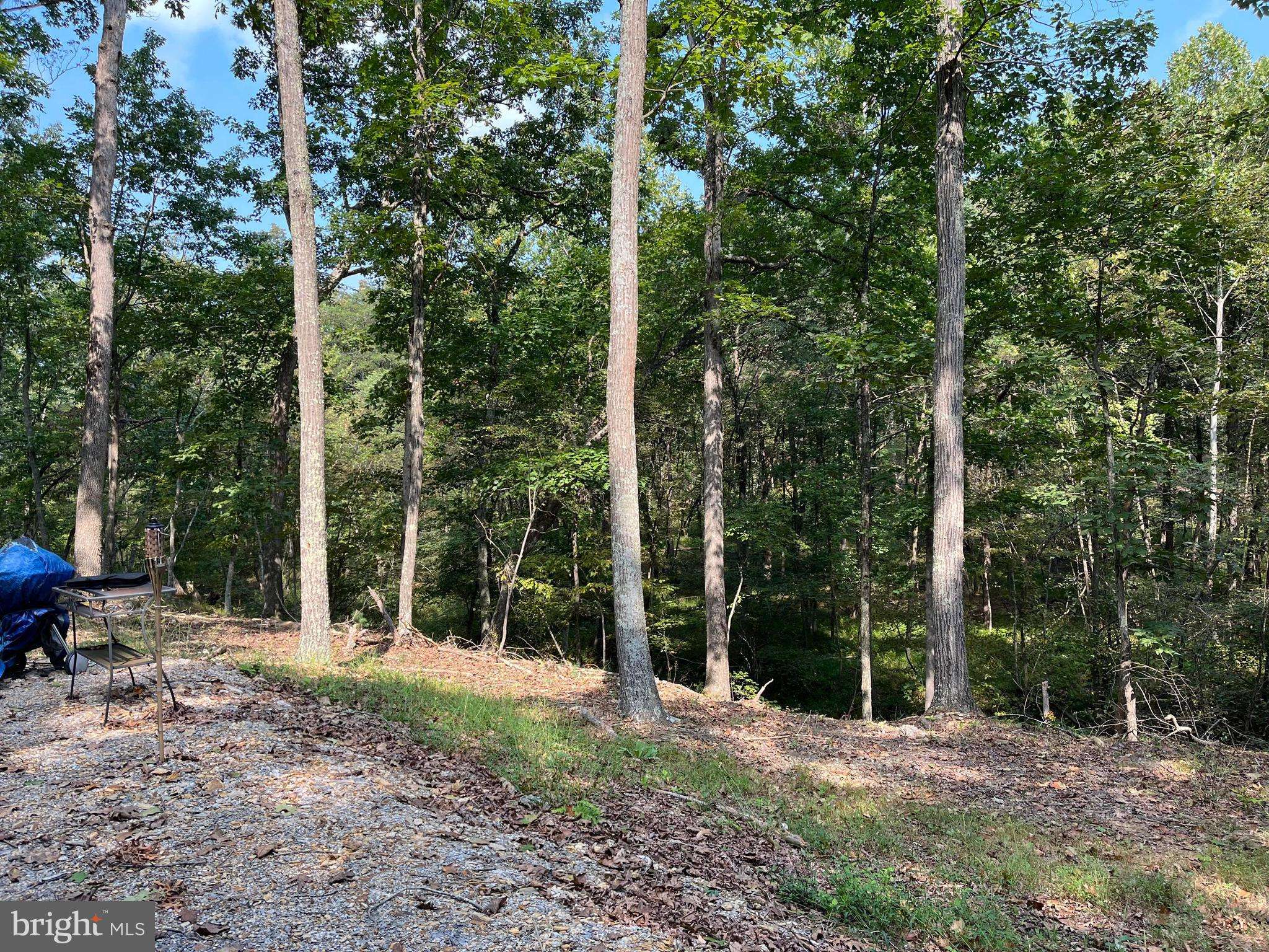 Augusta, WV 26704,LOT 16 QUIVEYS GROVE TRAIL