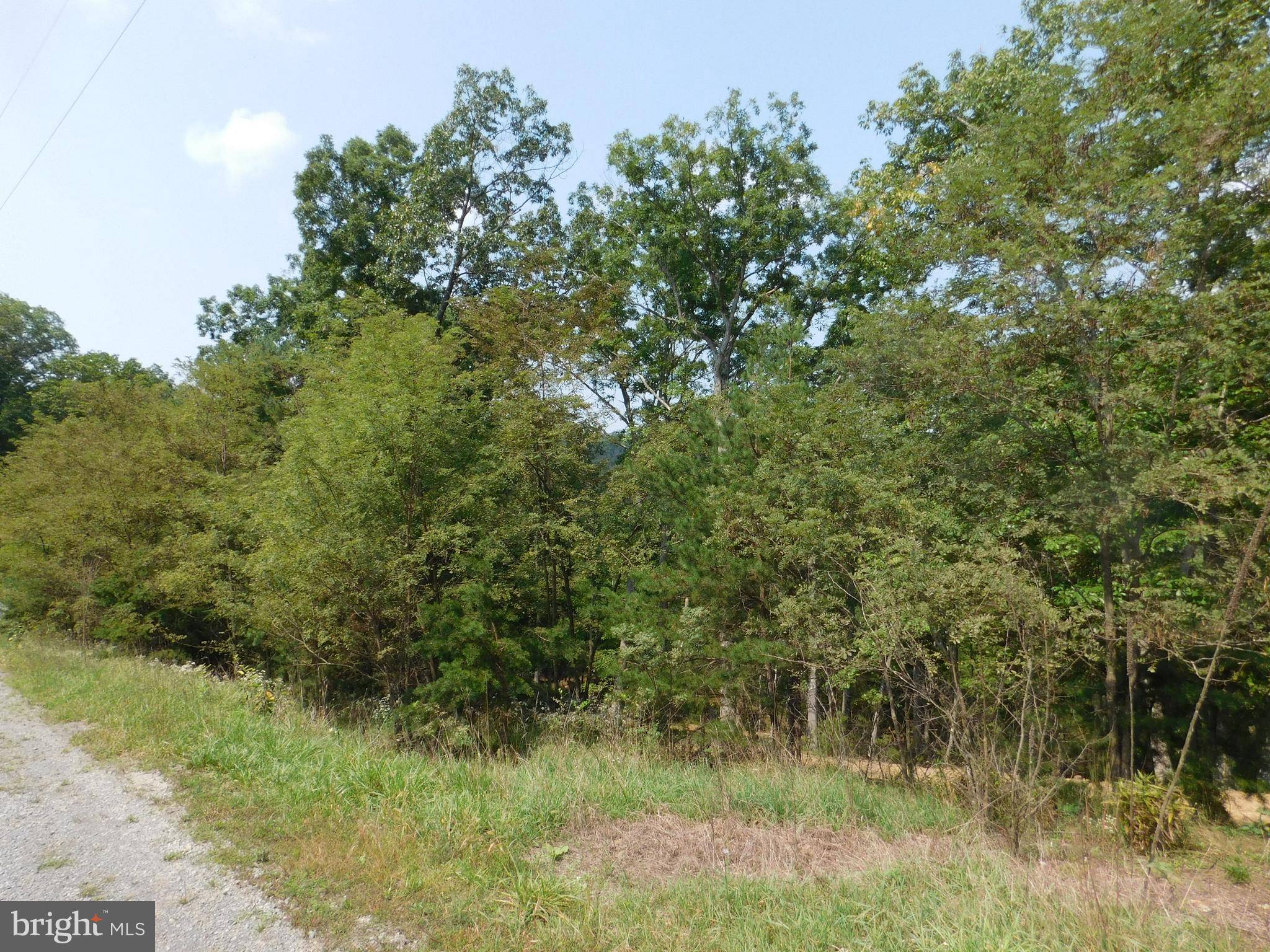 Augusta, WV 26704,LOT 16 QUIVEYS GROVE TRAIL