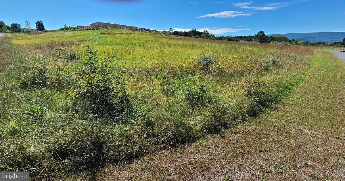 Petersburg, WV 26847,LOT #10 EARHART CT. SW