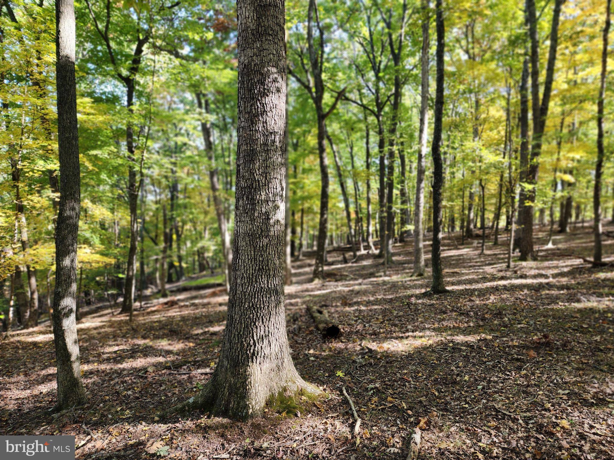 Berkeley Springs, WV 25411,GROUSE LANE LN #LOT # 30